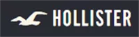 Hollister Co. logo